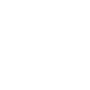 Valorant logo